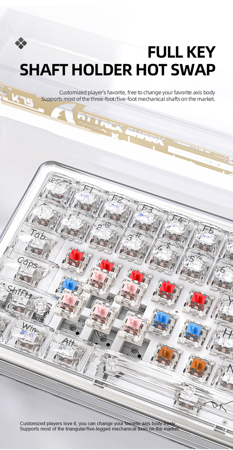 Wireless Mechanical Bluetooth Transparent Keyboard